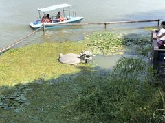 -昆山城市生态森林公园