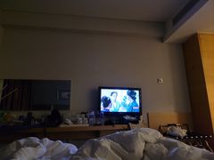 -北京民族园葉子里酒店(鸟巢店)