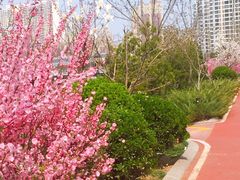 -马栏河运动公园