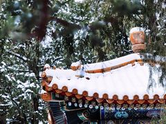 -故宫博物院(故宫)