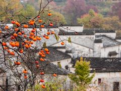 -塔川景区