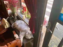-不舍昼夜咖啡馆