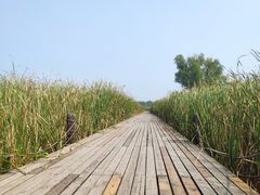 -马家湾湿地公园