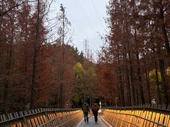 -福道