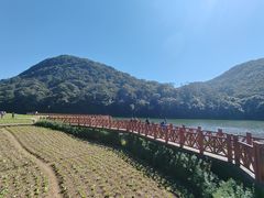 -广州市石门国家森林公园