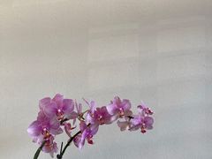 -径山寺