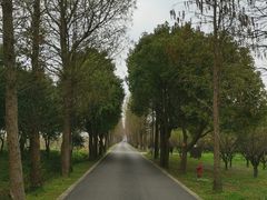 -广富林郊野公园