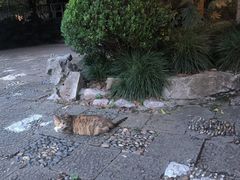 -雪乡阁东北农家菜(颛桥约好休闲街店)
