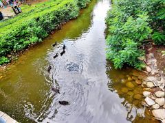 -长白岛森林公园