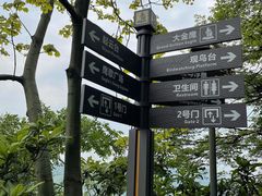 -大金鹰园