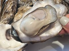 -杨氏青龙虾·羊蝎子(托乐嘉店)