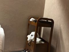 -灸春堂·专业艾灸·连锁品牌(之江银泰店)