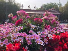 -丰台花园