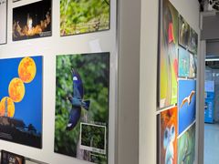 -星光摄影器材城