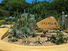 -深圳仙湖植物园