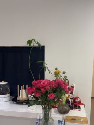 -JNK皮肤管理中心