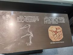-浙江自然博物院(杭州馆)