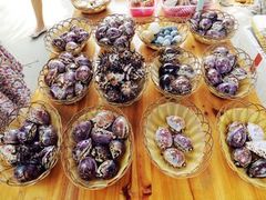 -三亚珠江南田温泉度假区