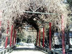 -陕西师范大学(雁塔校区)