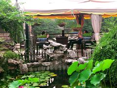 -漫渡庄绿岛花园•隐世庭园菜(滨湖店)