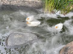 -灵玲国际马戏城
