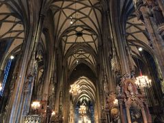-斯蒂芬主教座堂(Stephansdom)