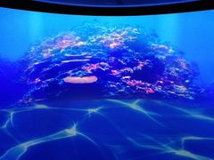 -朝阳公园游乐园