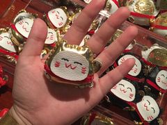 -猫咪博物馆(顶澳仔猫街店)