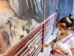 -酷嗒动物文化乐园(cutezoo西溪乐天城店)