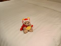 -厦门康莱德酒店