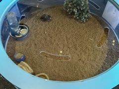 -上海怡沁园度假酒店