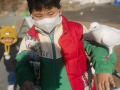 -烟台海昌鲸鲨海洋公园