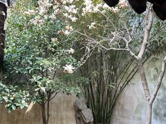 -苏州园林博物馆