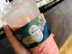 -野萃山·潮汕厚果汁(十亩地店)