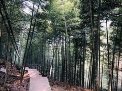 -藏龙百瀑风景区