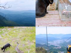 -萍乡武功山风景名胜区