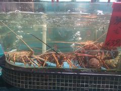 -海大大蒸汽海鲜餐厅·粤菜·特色小炒(欢乐颂店)