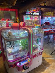 -卡通尼·Safari非洲探索乐园·生日会(金桥国际商业广场店)