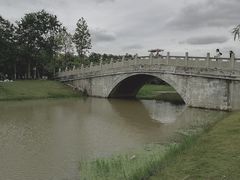 -上海海湾国家森林公园