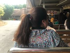 -清迈夜间动物园