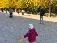 -玲珑塔公园