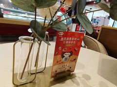 -哈根达斯(石家庄北国店)