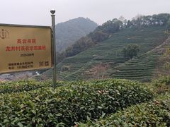 -十里琅珰