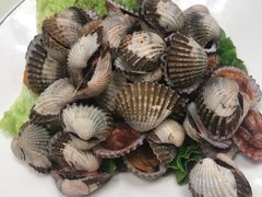 -高佳庄·舟山海鲜(海景旗舰店)