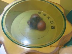 IMG_2827-上海昆虫博物馆