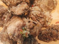 -阿五黄河大鲤鱼(英协路店)
