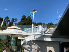 -浮游·云巅派对西餐厅(鼓岭旅游度假区店)