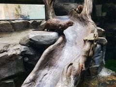 -海合安成都极地海洋公园