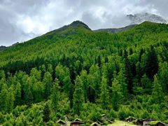-瓦屋山景区