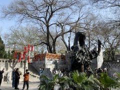 -大槐树寻根祭祖园